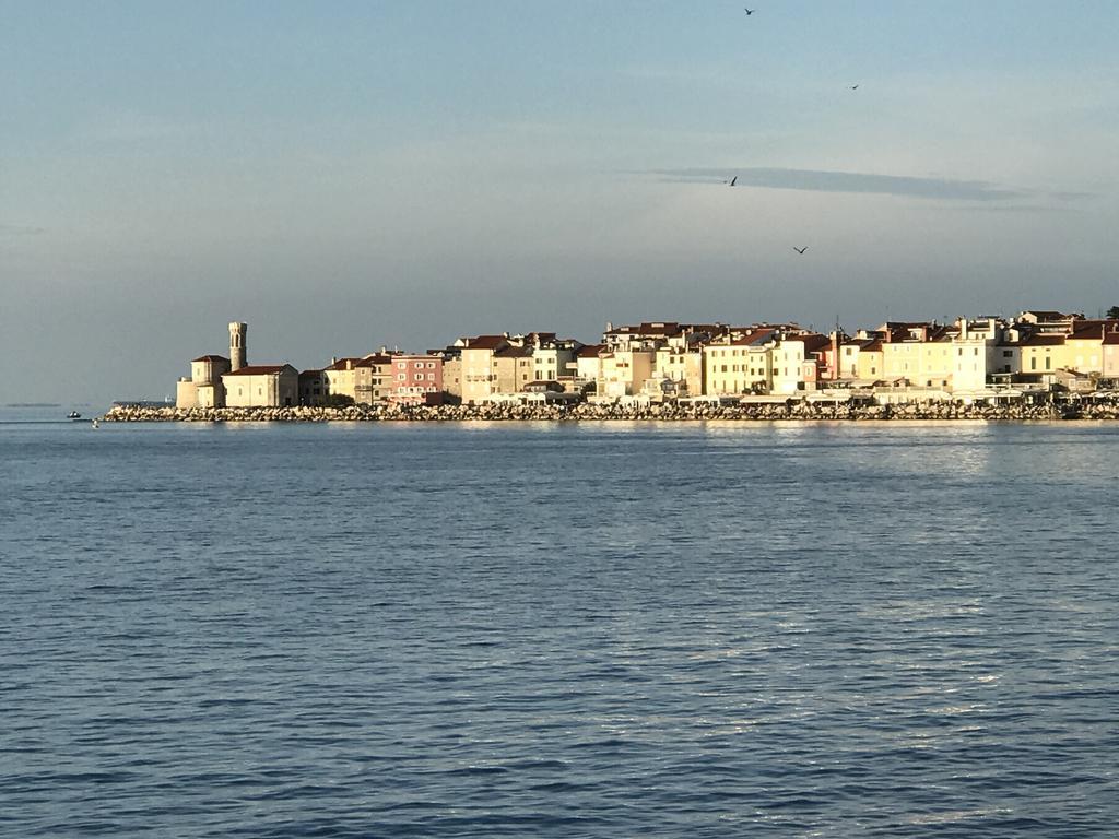Allure Apartments Piran Exterior foto